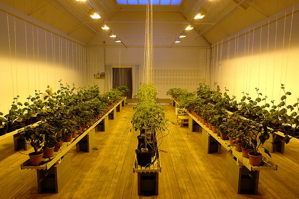 Image 7 of 22