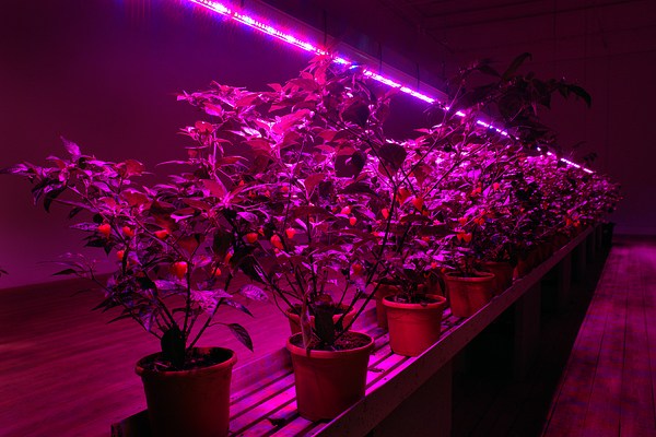 Image 11 of 22