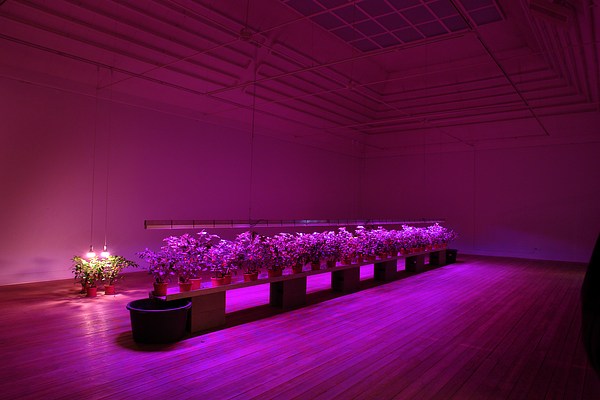 Image 10 of 22