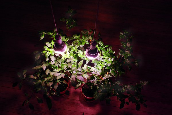 Image 12 of 22