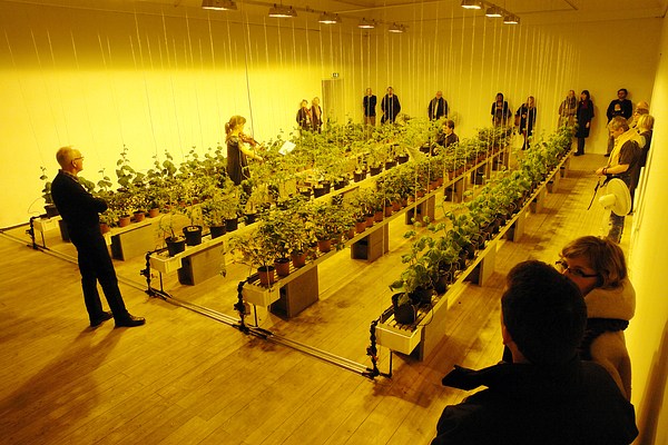 Image 17 of 22
