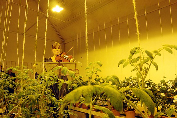 Image 19 of 22