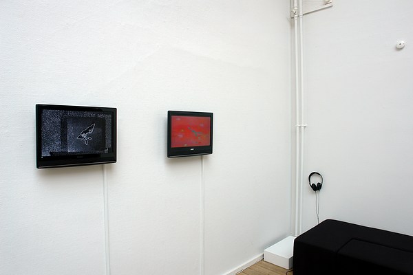 Image 5 of 28