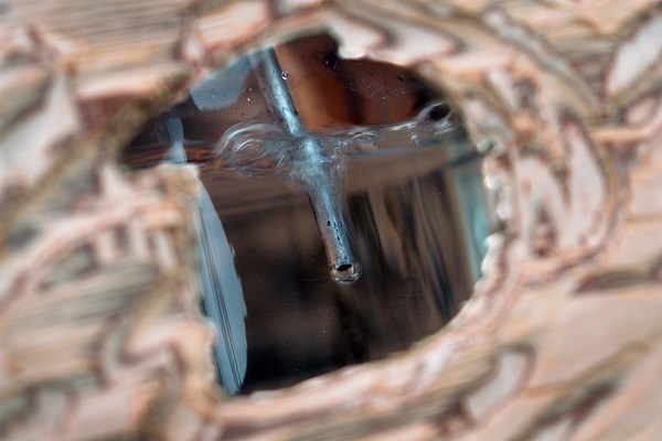 Image 28 of 28