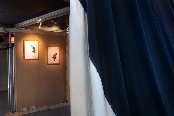 Image 10 of 60