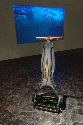 Image 12 of 35