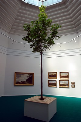 Image 16 of 39