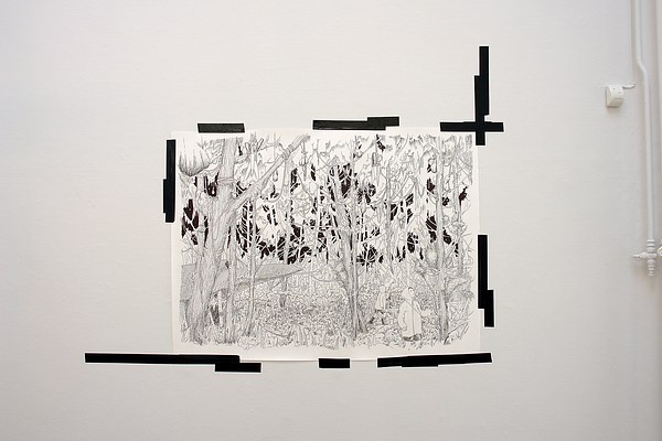 Image 11 of 25