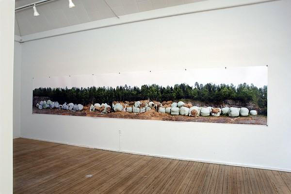 Image 3 of 25