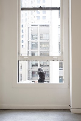 Image 15 of 19
