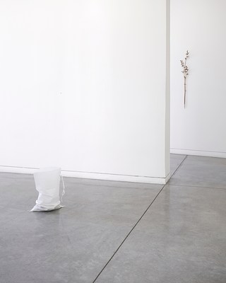 Image 8 of 14