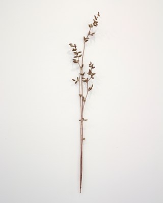 Image 9 of 14