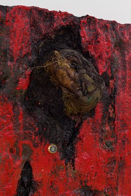 Image 23 of 37