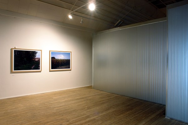 Image 7 of 19