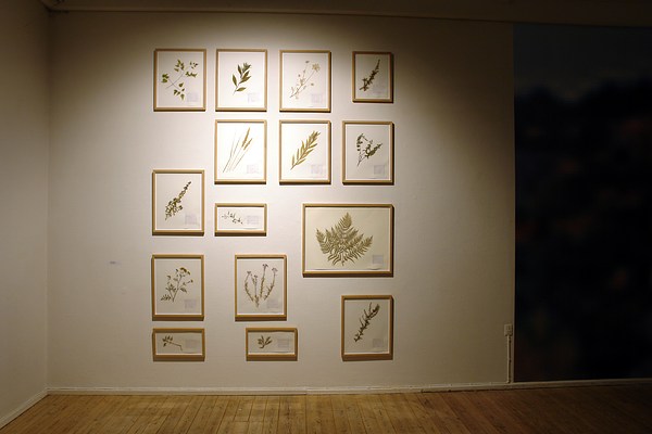 Image 9 of 19