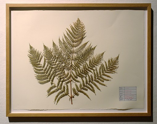 Image 10 of 19