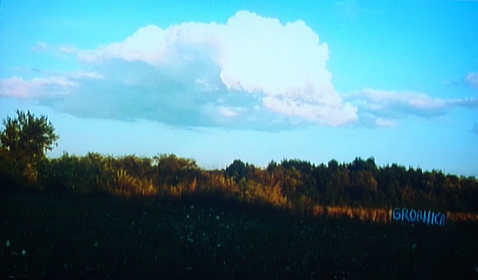 Image 14 of 19