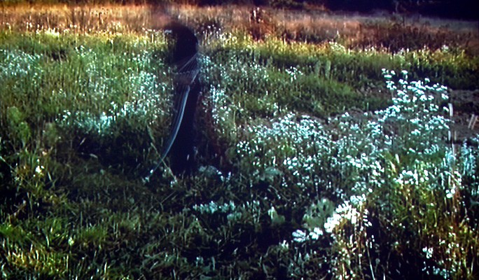 Image 16 of 19