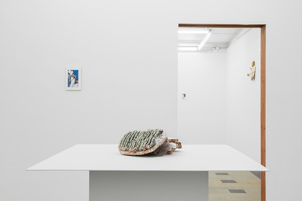 Image 1 of 36