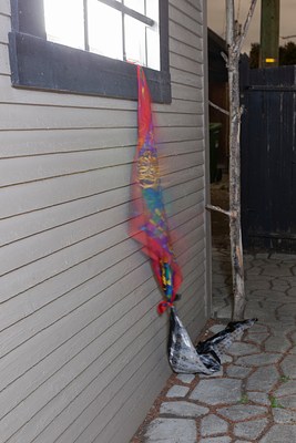 Image 7 of 12