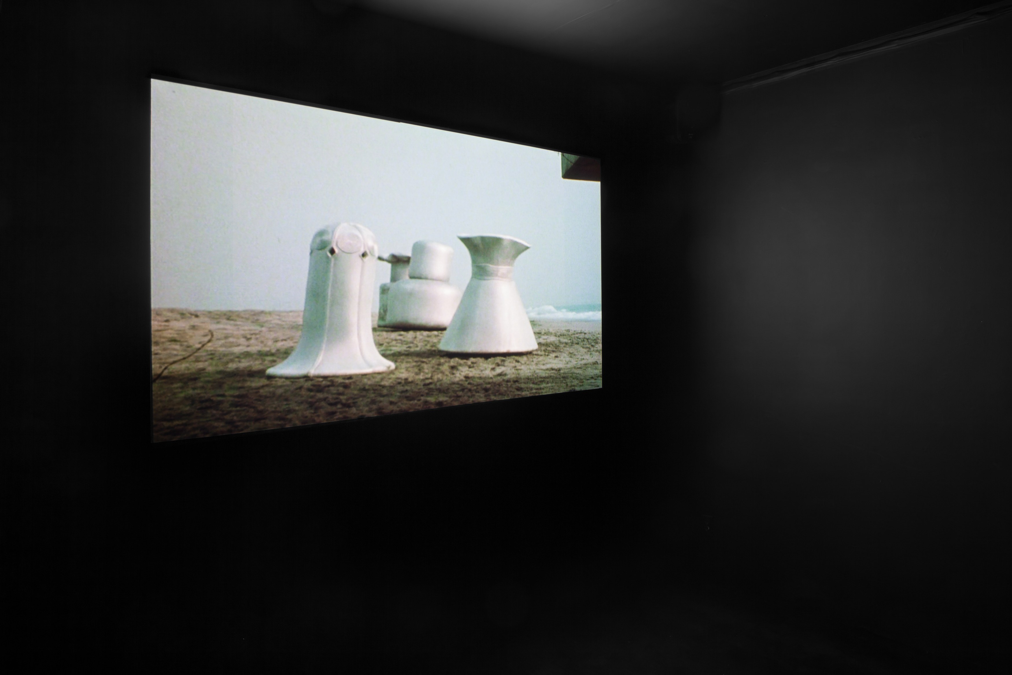 Heidi Bucher, Heidi Bucher at Swiss Institute, photo 20