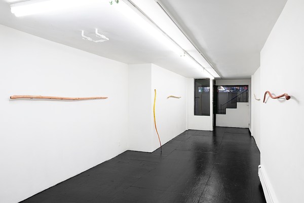 Image 2 of 36