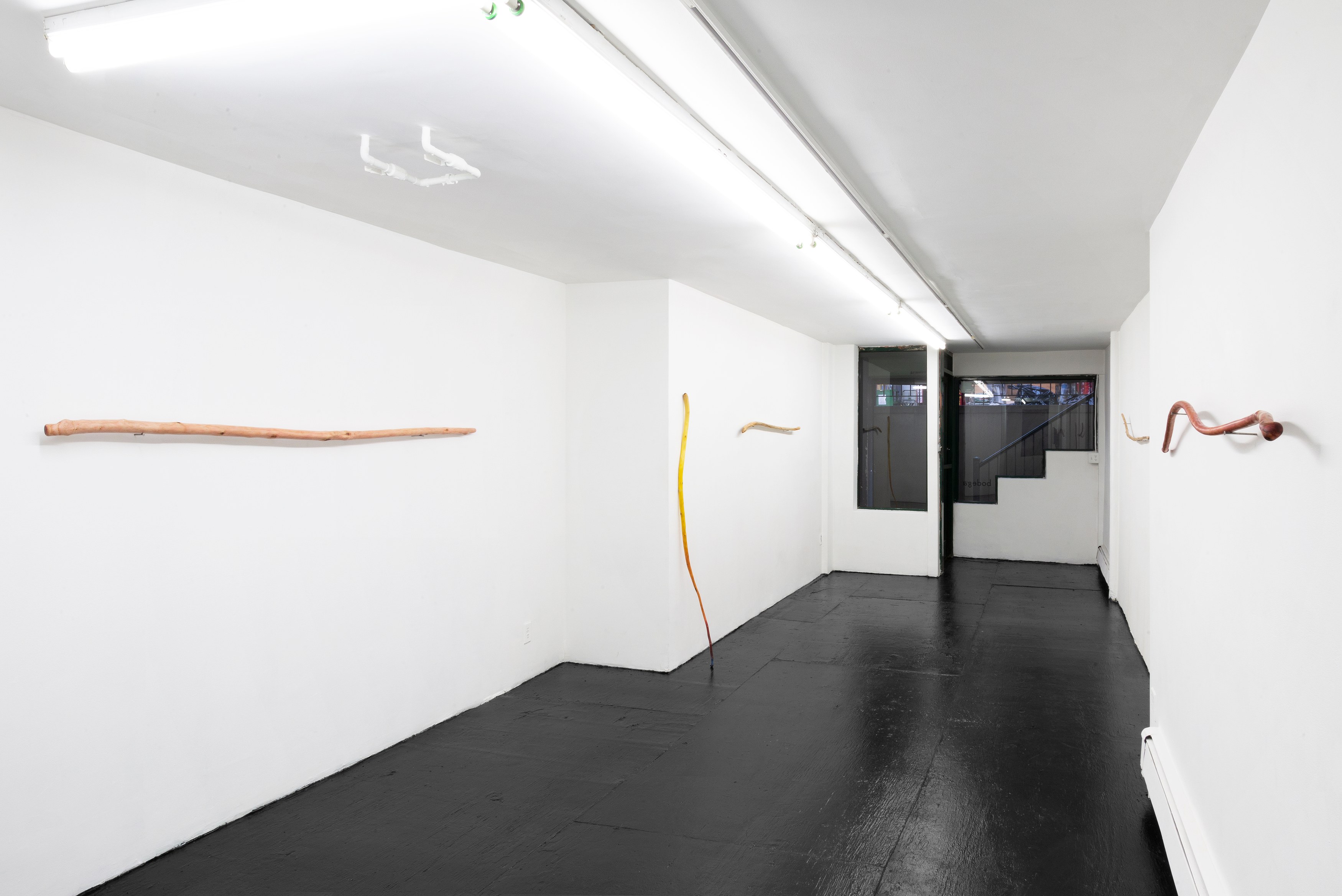 Naoki Sutter-Shudo, Don pur de la nature at Derosia, photo 2