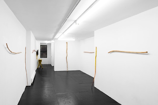 Image 1 of 36