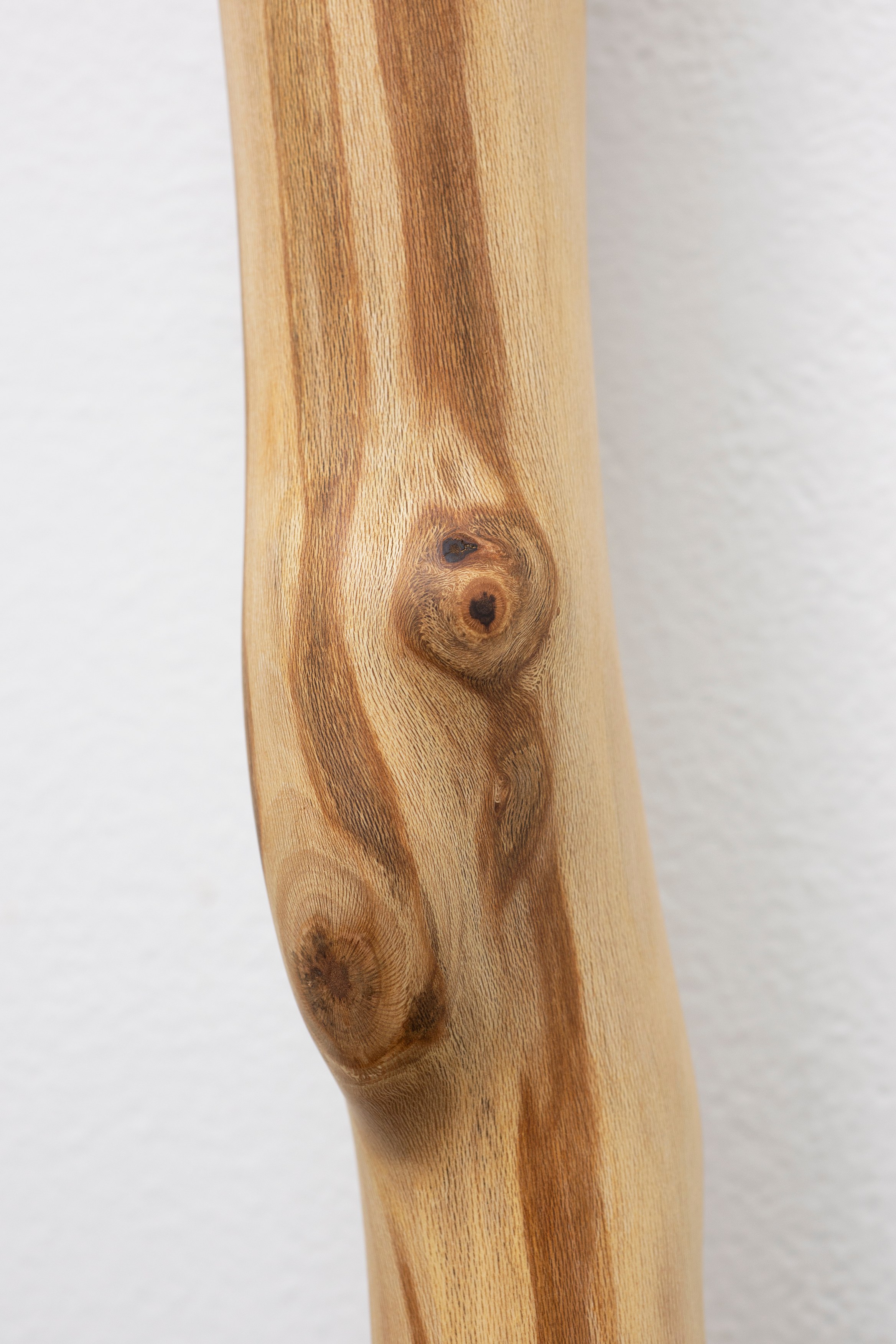 Naoki Sutter-Shudo, Don pur de la nature at Derosia, photo 7