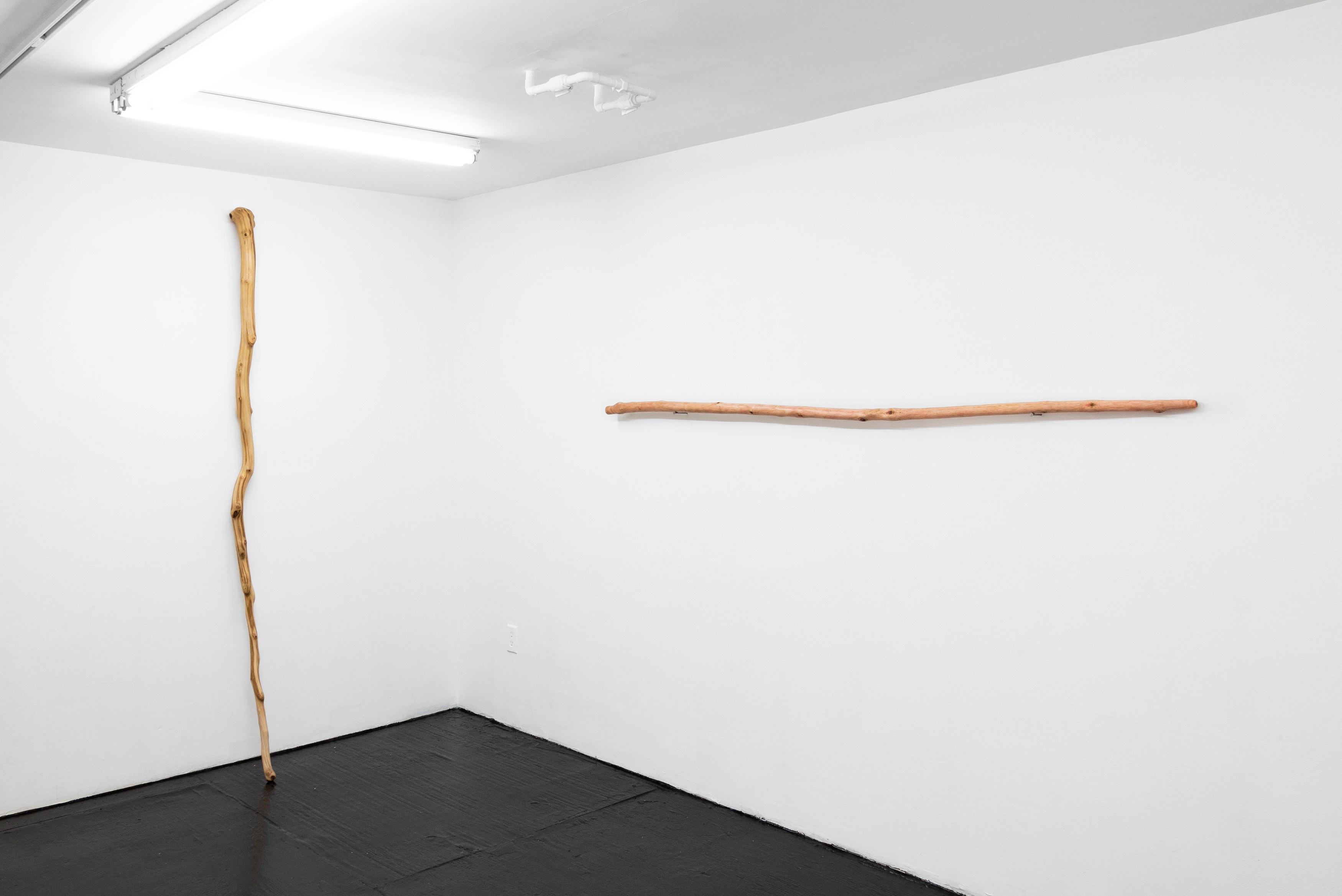 Naoki Sutter-Shudo, Don pur de la nature at Derosia, photo 3