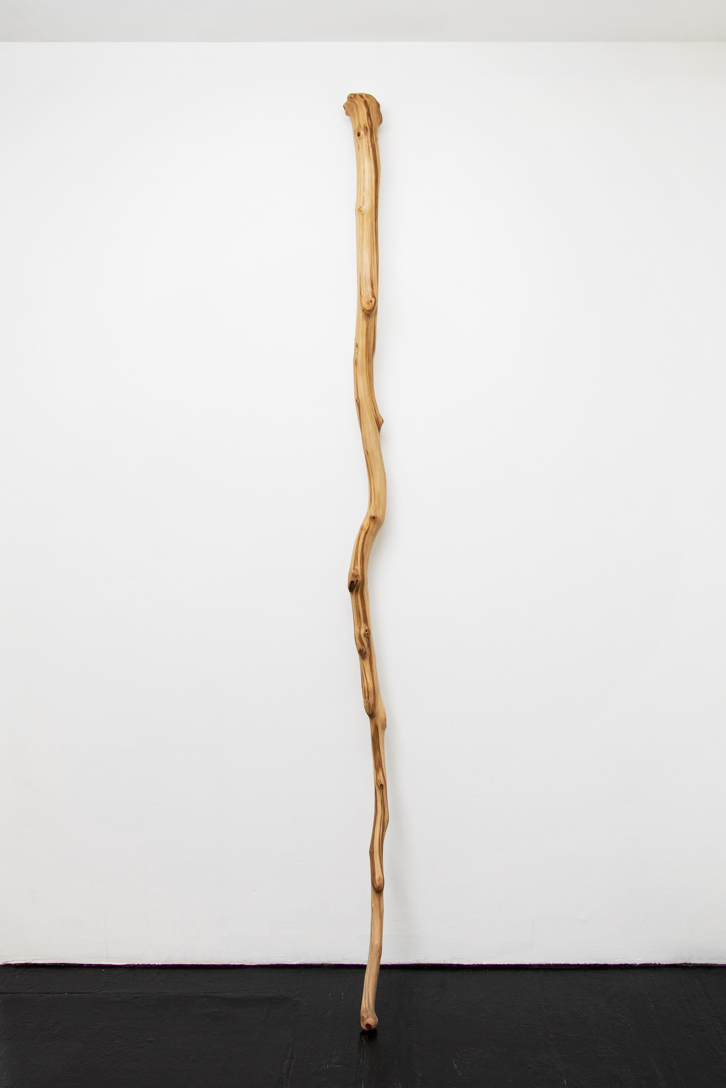 Naoki Sutter-Shudo, Don pur de la nature at Derosia, photo 5