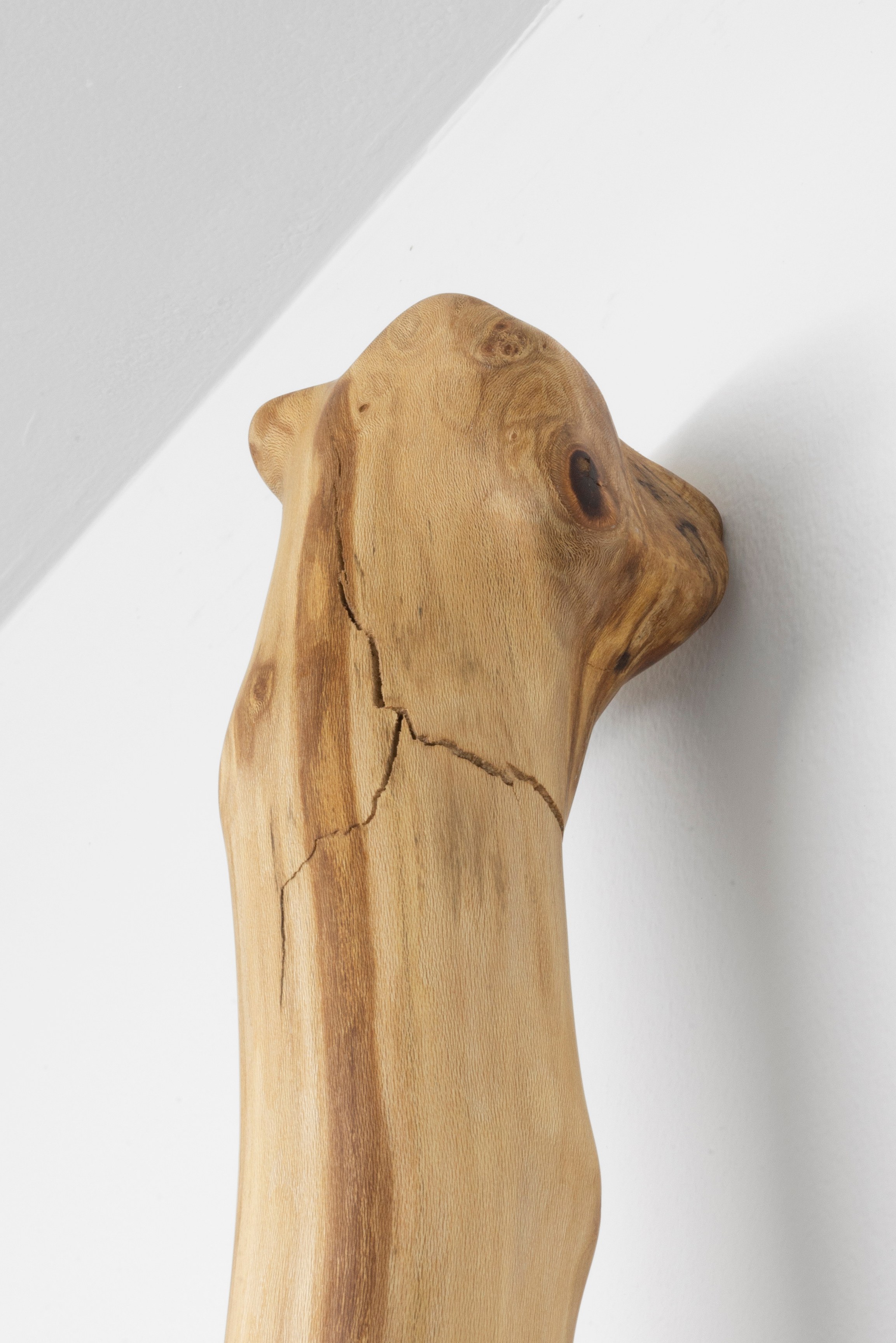 Naoki Sutter-Shudo, Don pur de la nature at Derosia, photo 6