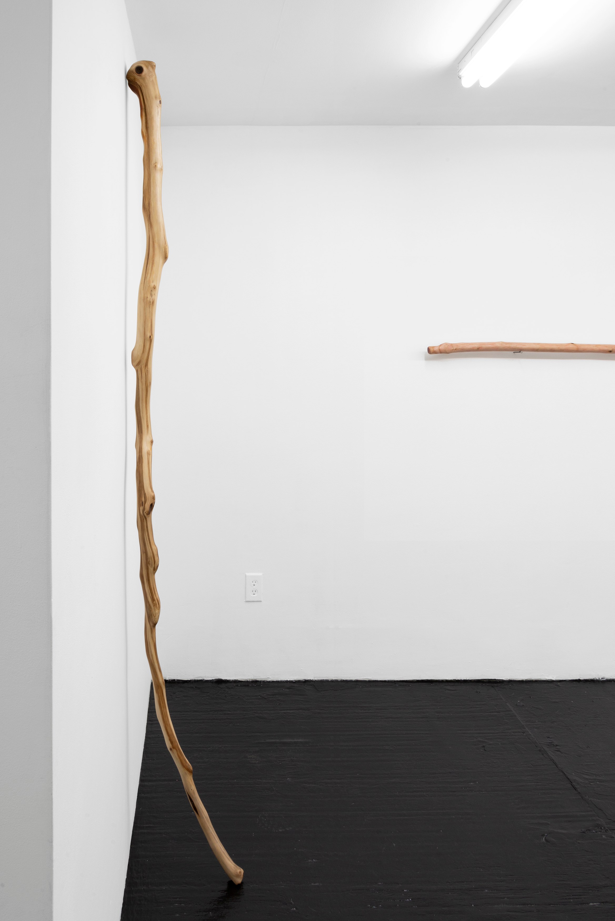 Naoki Sutter-Shudo, Don pur de la nature at Derosia, photo 4