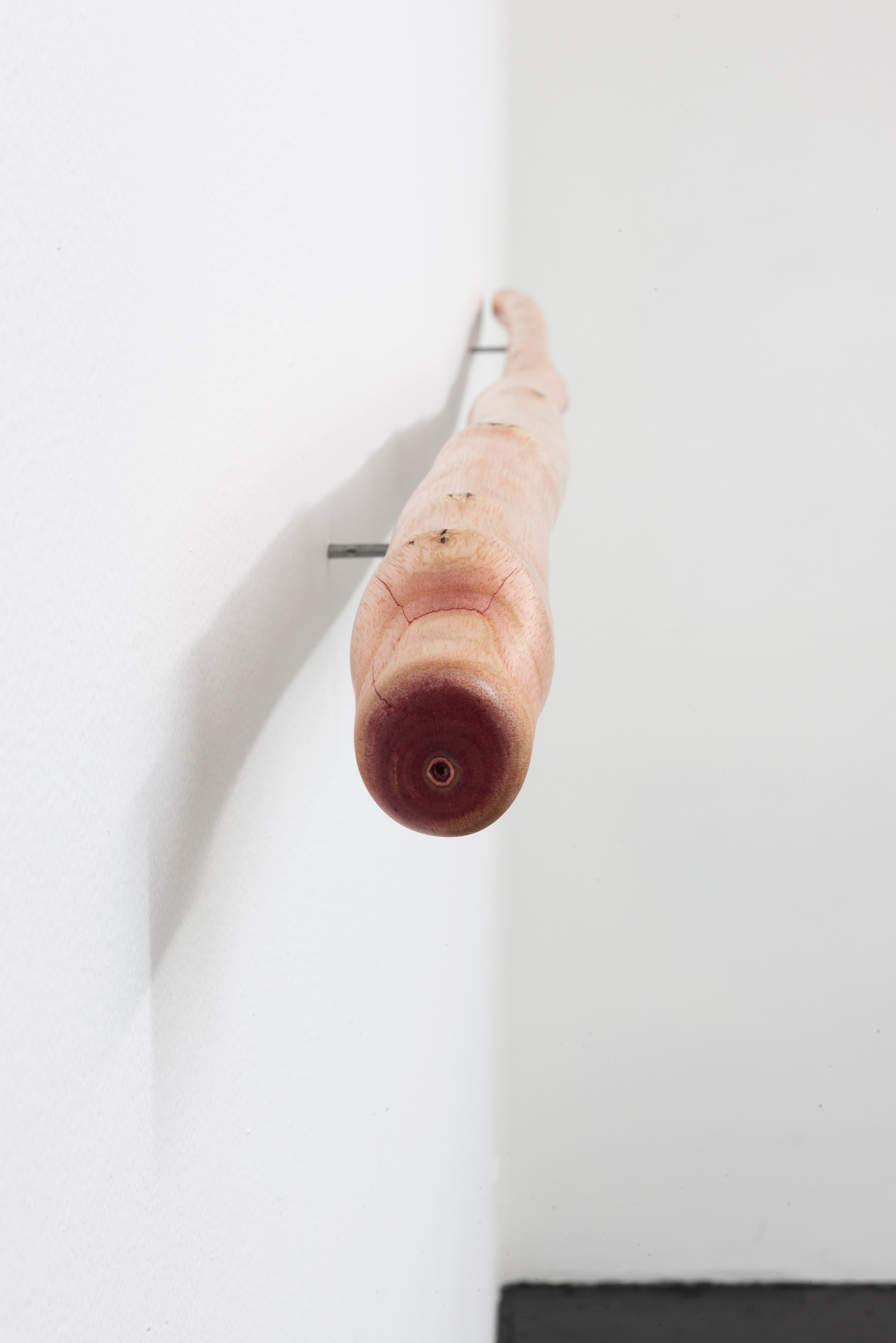 Naoki Sutter-Shudo, Don pur de la nature at Derosia, photo 9