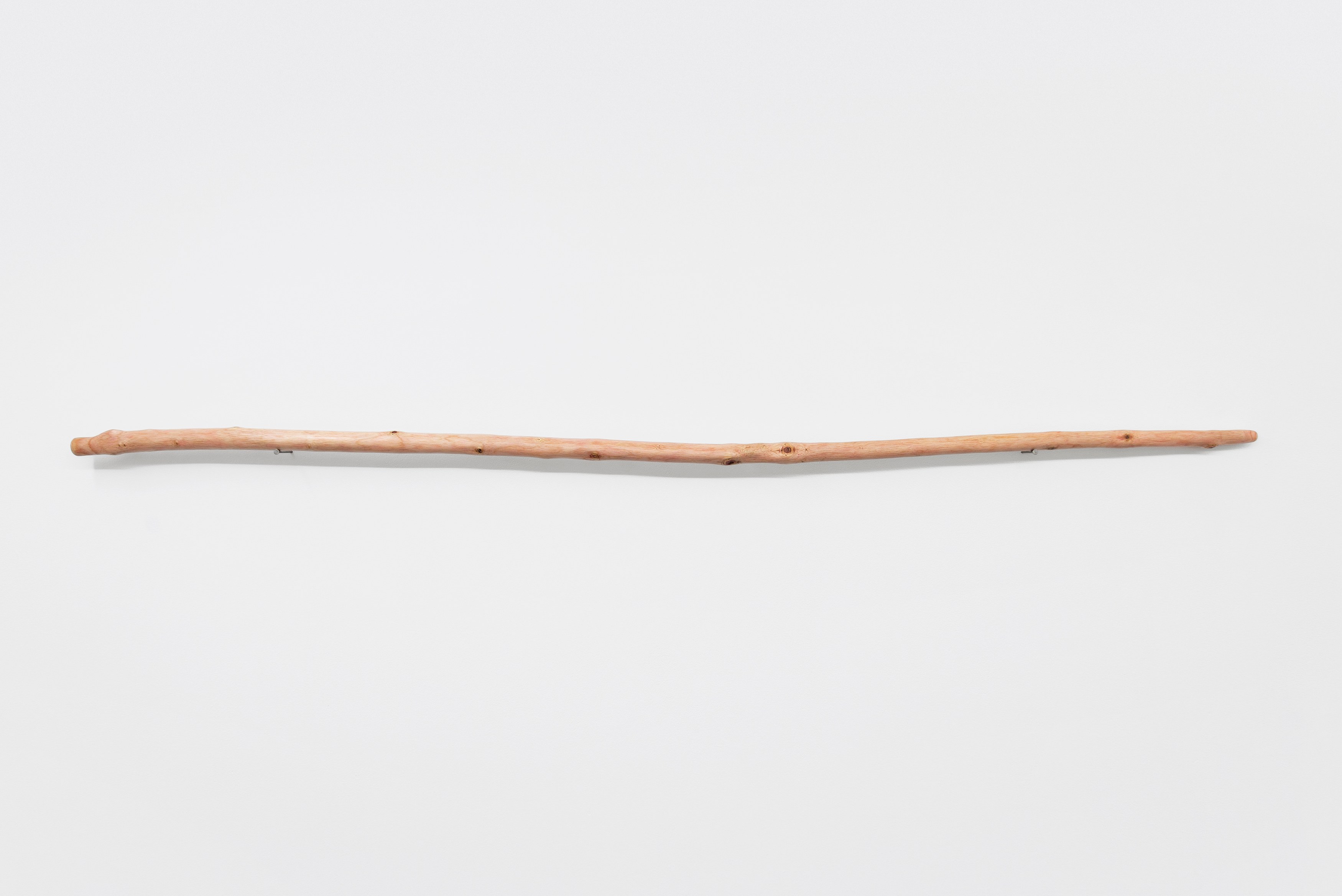 Naoki Sutter-Shudo, Don pur de la nature at Derosia, photo 10