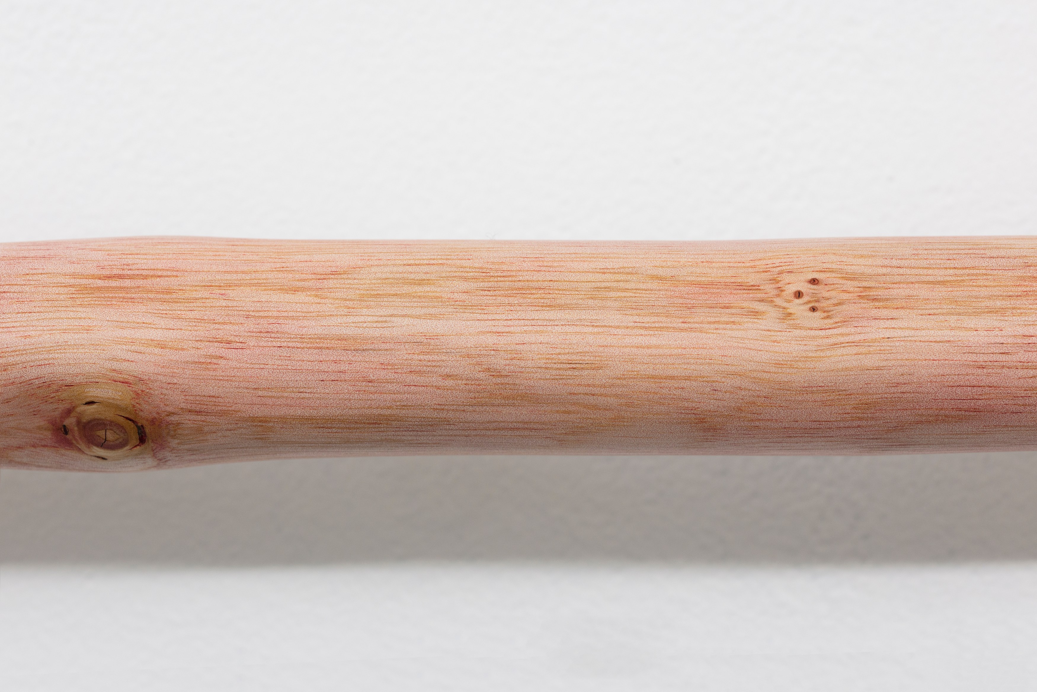 Naoki Sutter-Shudo, Don pur de la nature at Derosia, photo 11
