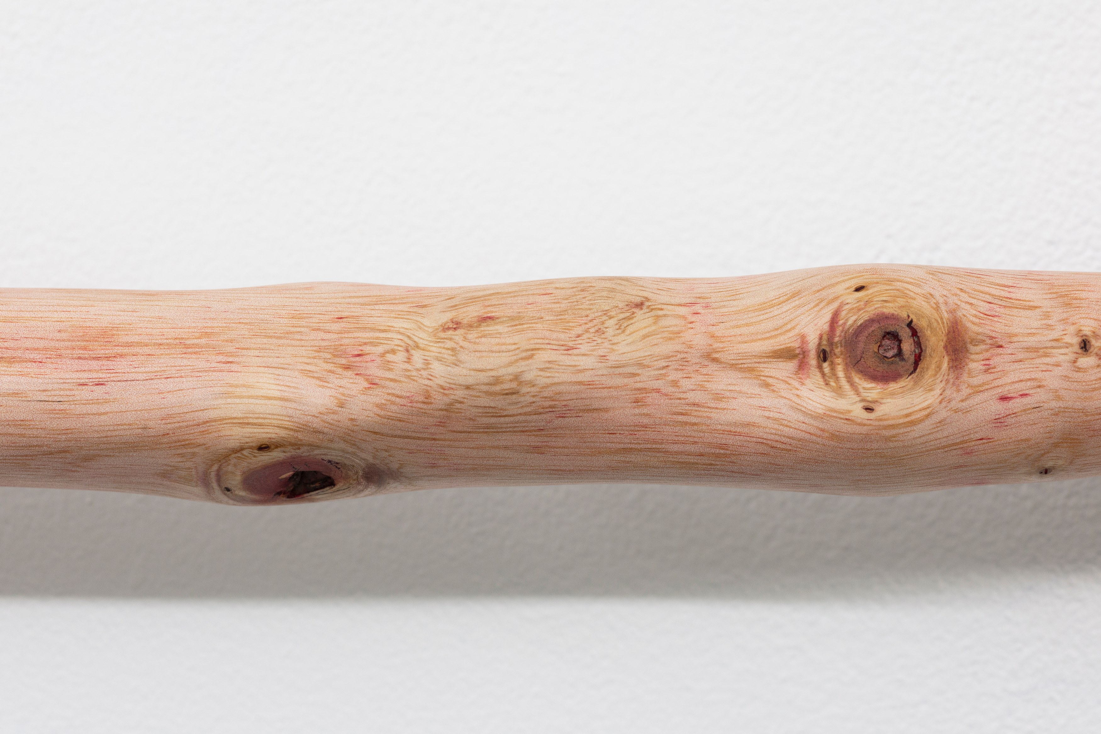 Naoki Sutter-Shudo, Don pur de la nature at Derosia, photo 12