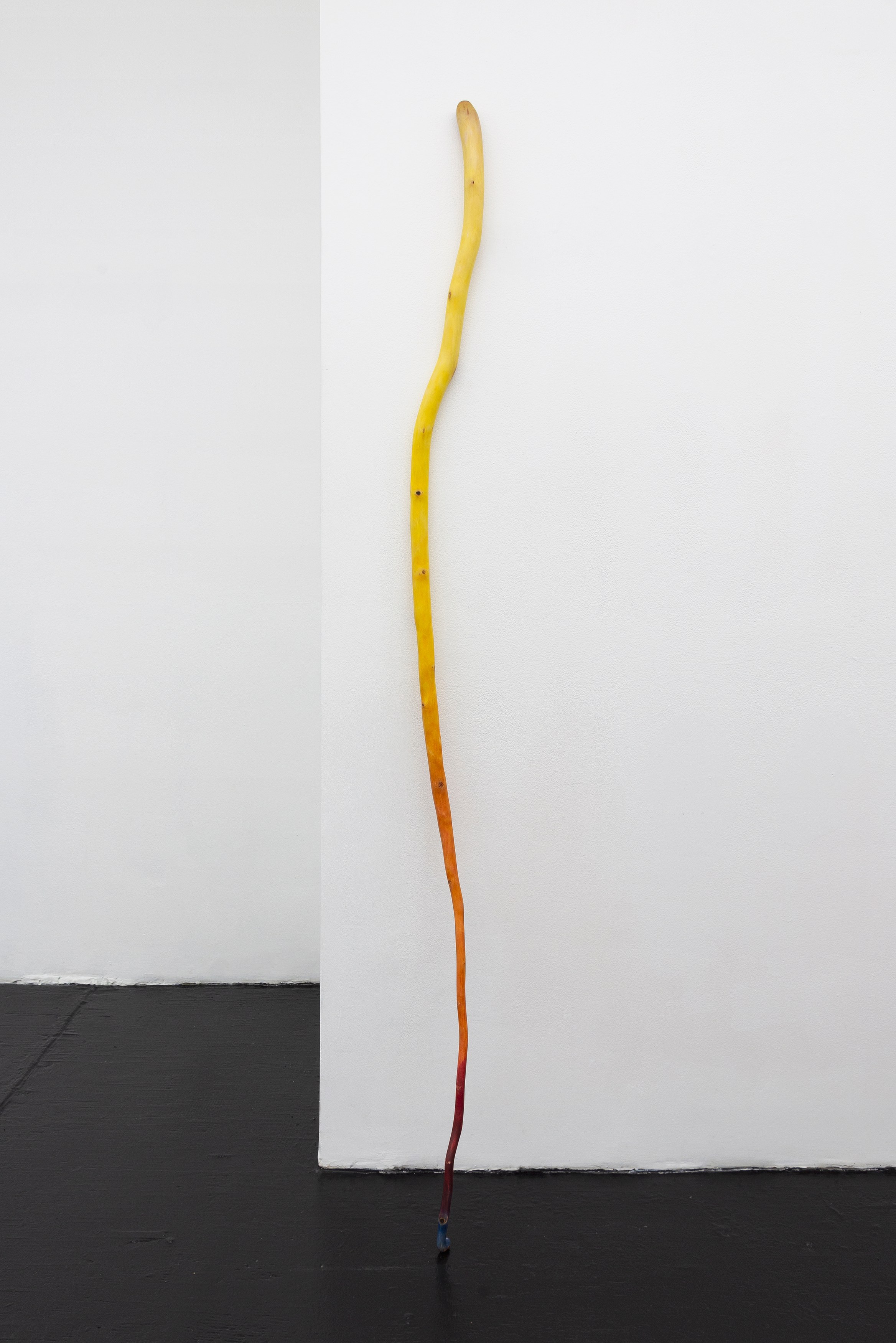Naoki Sutter-Shudo, Don pur de la nature at Derosia, photo 15