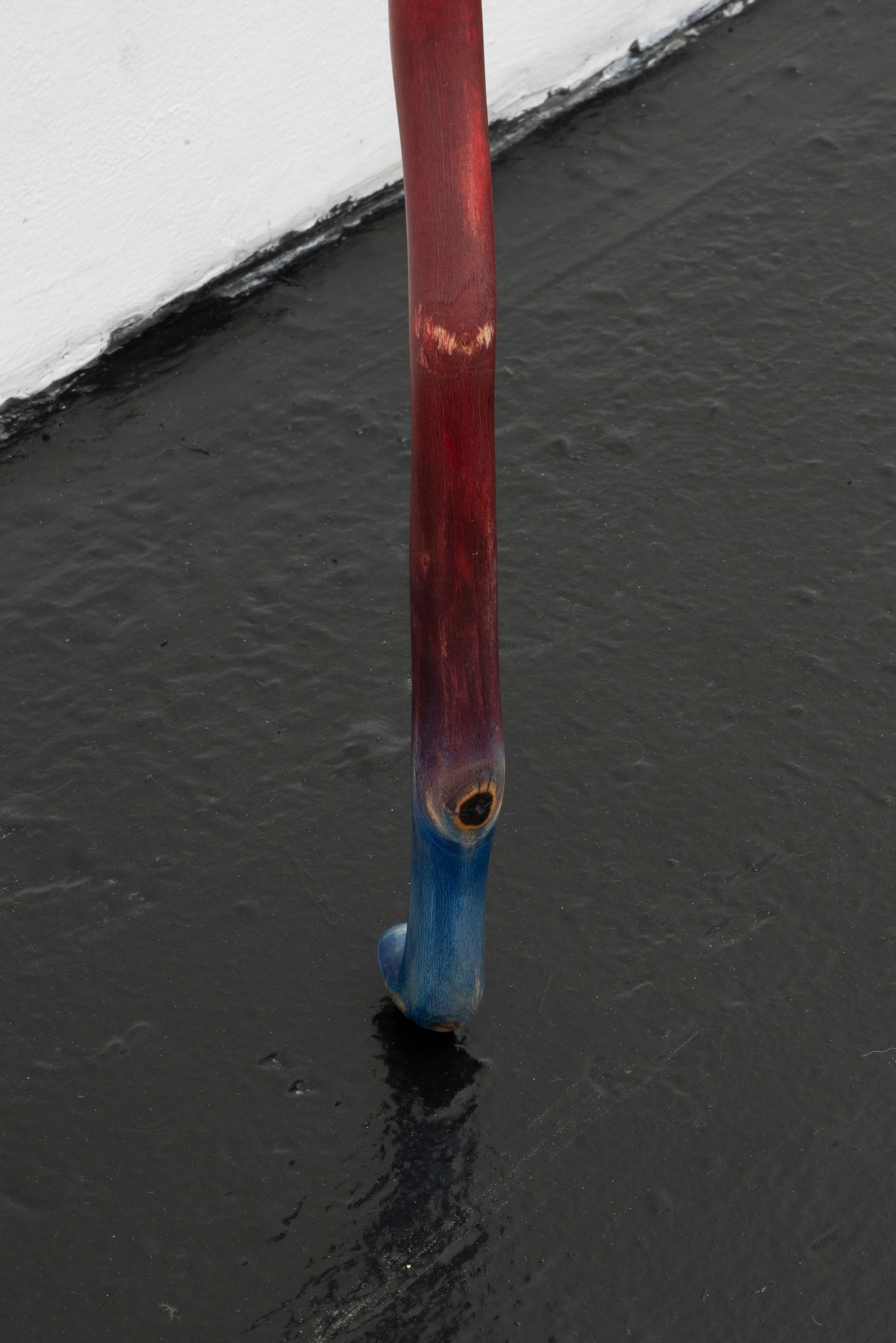 Naoki Sutter-Shudo, Don pur de la nature at Derosia, photo 17