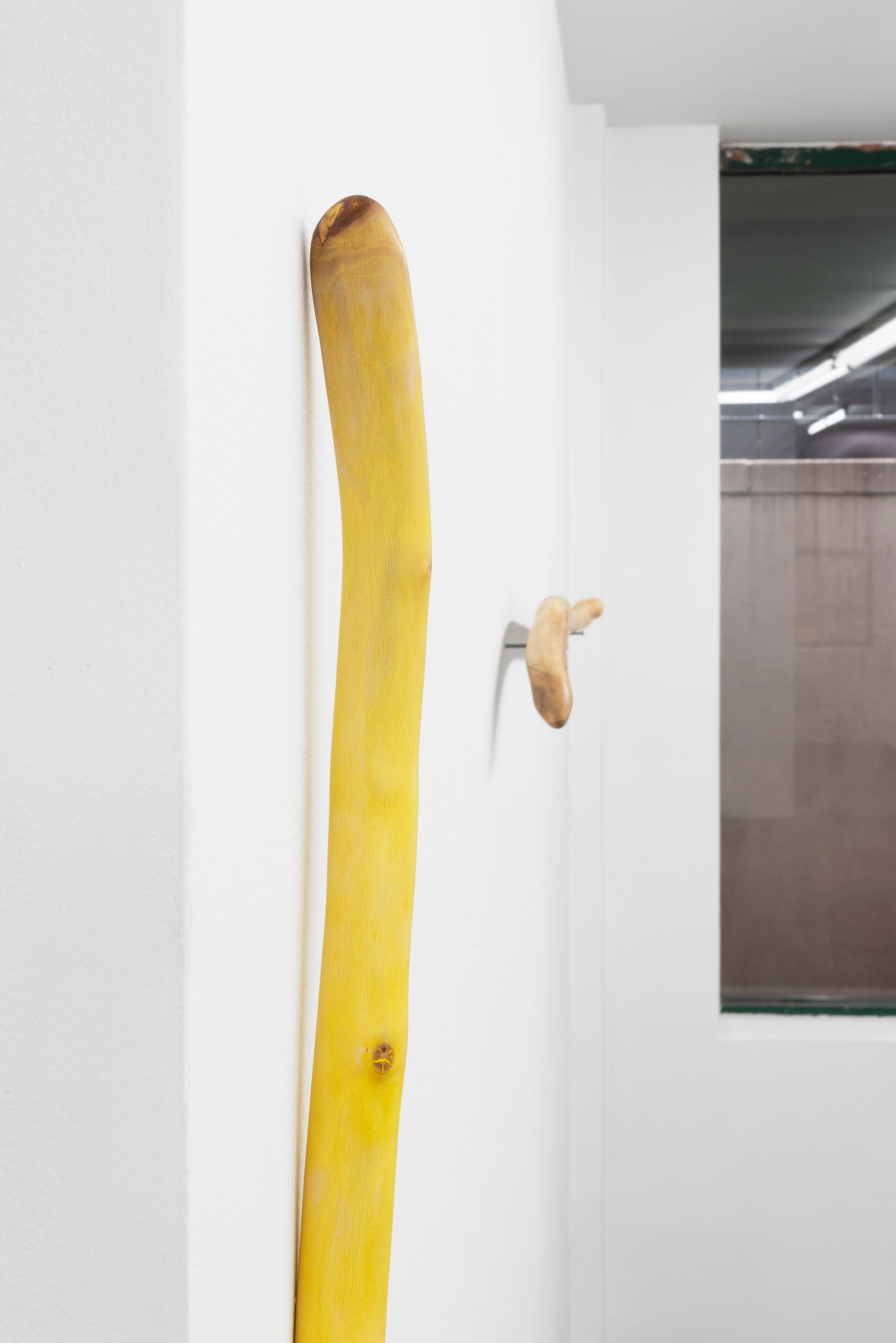 Naoki Sutter-Shudo, Don pur de la nature at Derosia, photo 14