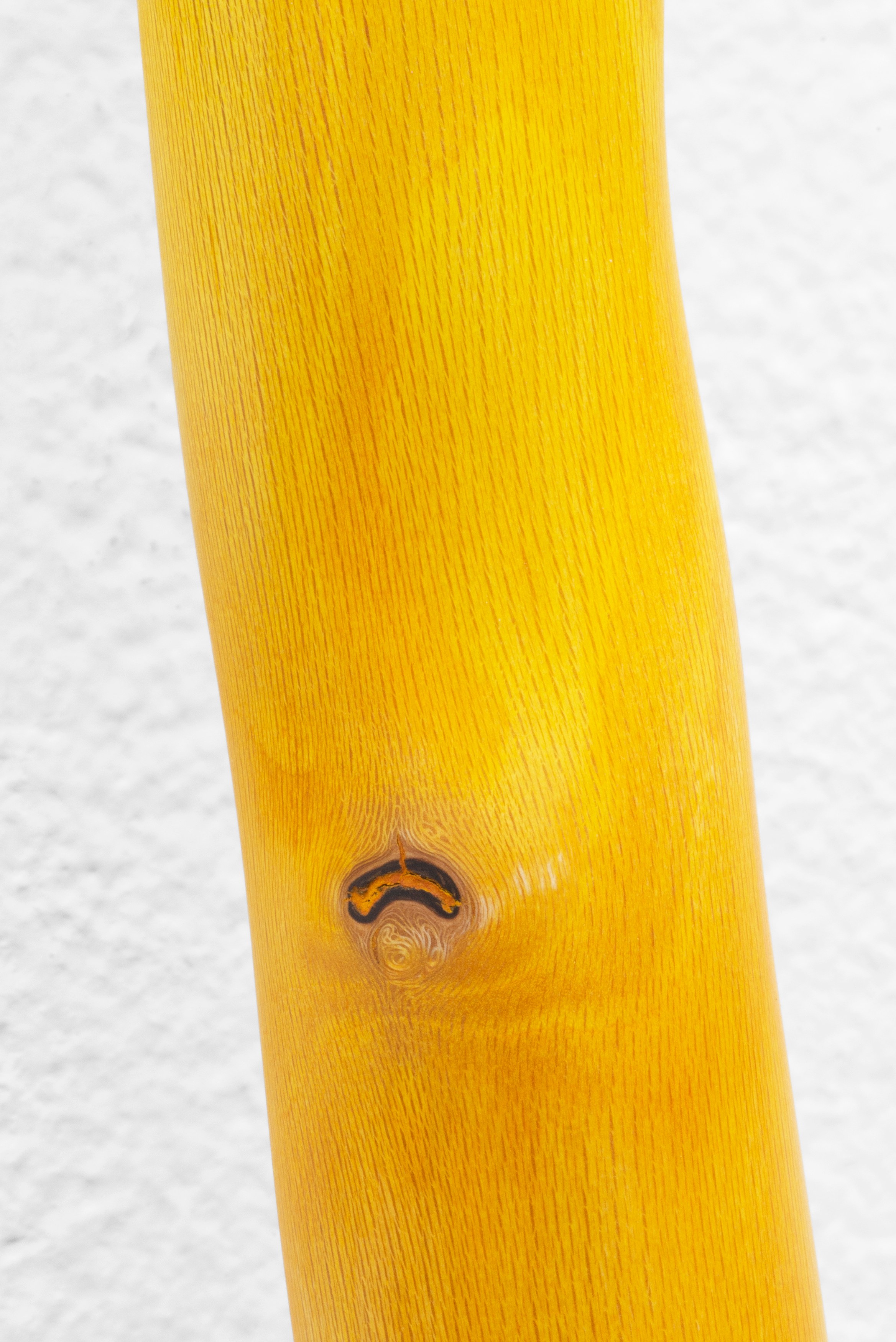 Naoki Sutter-Shudo, Don pur de la nature at Derosia, photo 16