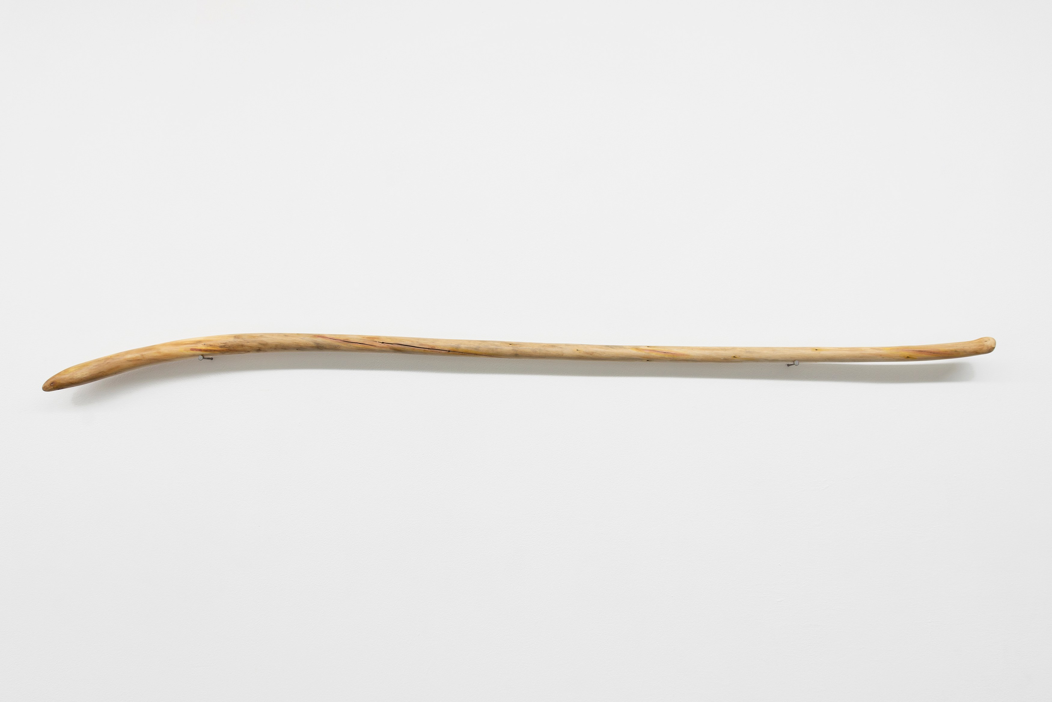 Naoki Sutter-Shudo, Don pur de la nature at Derosia, photo 18