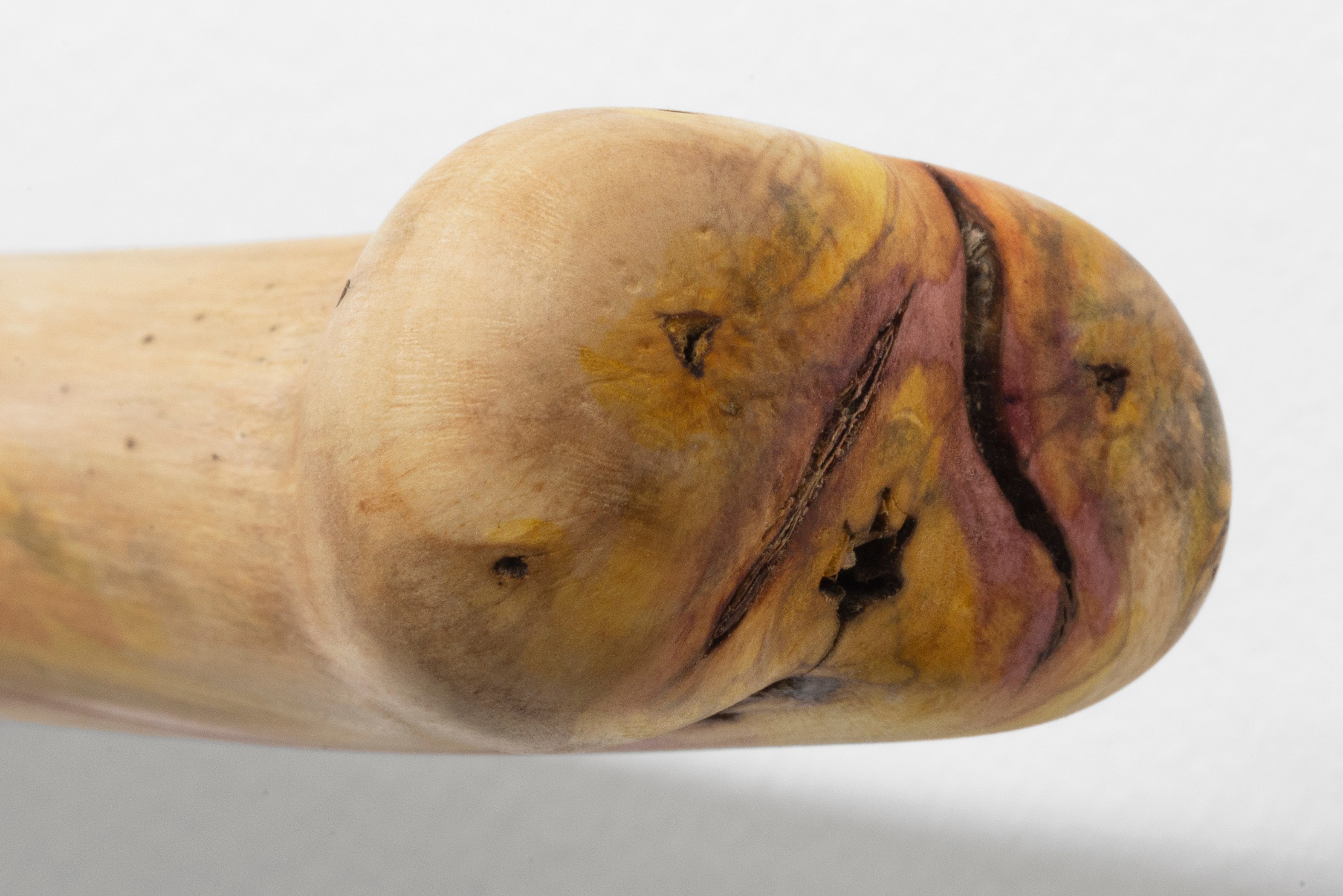 Naoki Sutter-Shudo, Don pur de la nature at Derosia, photo 21
