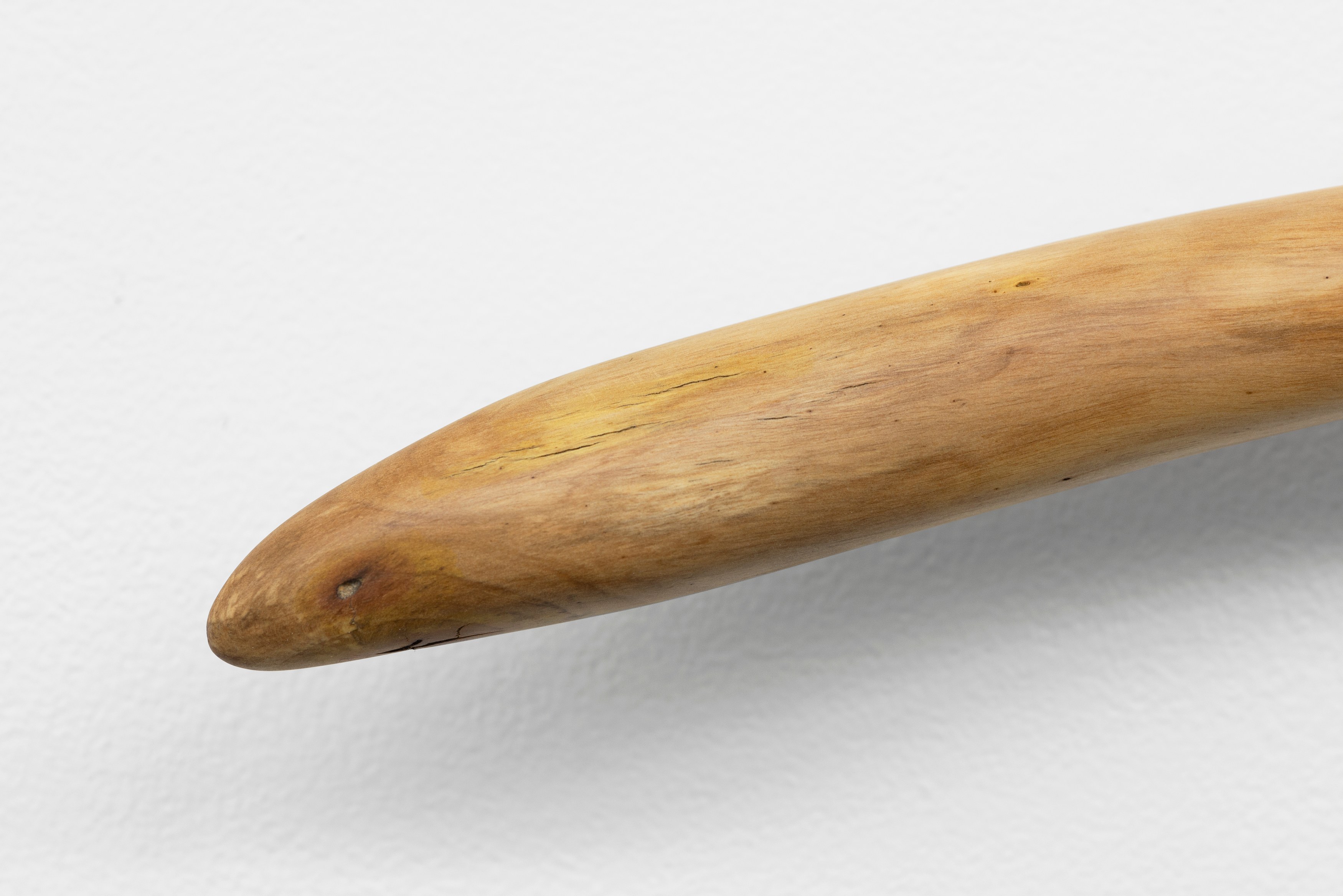 Naoki Sutter-Shudo, Don pur de la nature at Derosia, photo 19