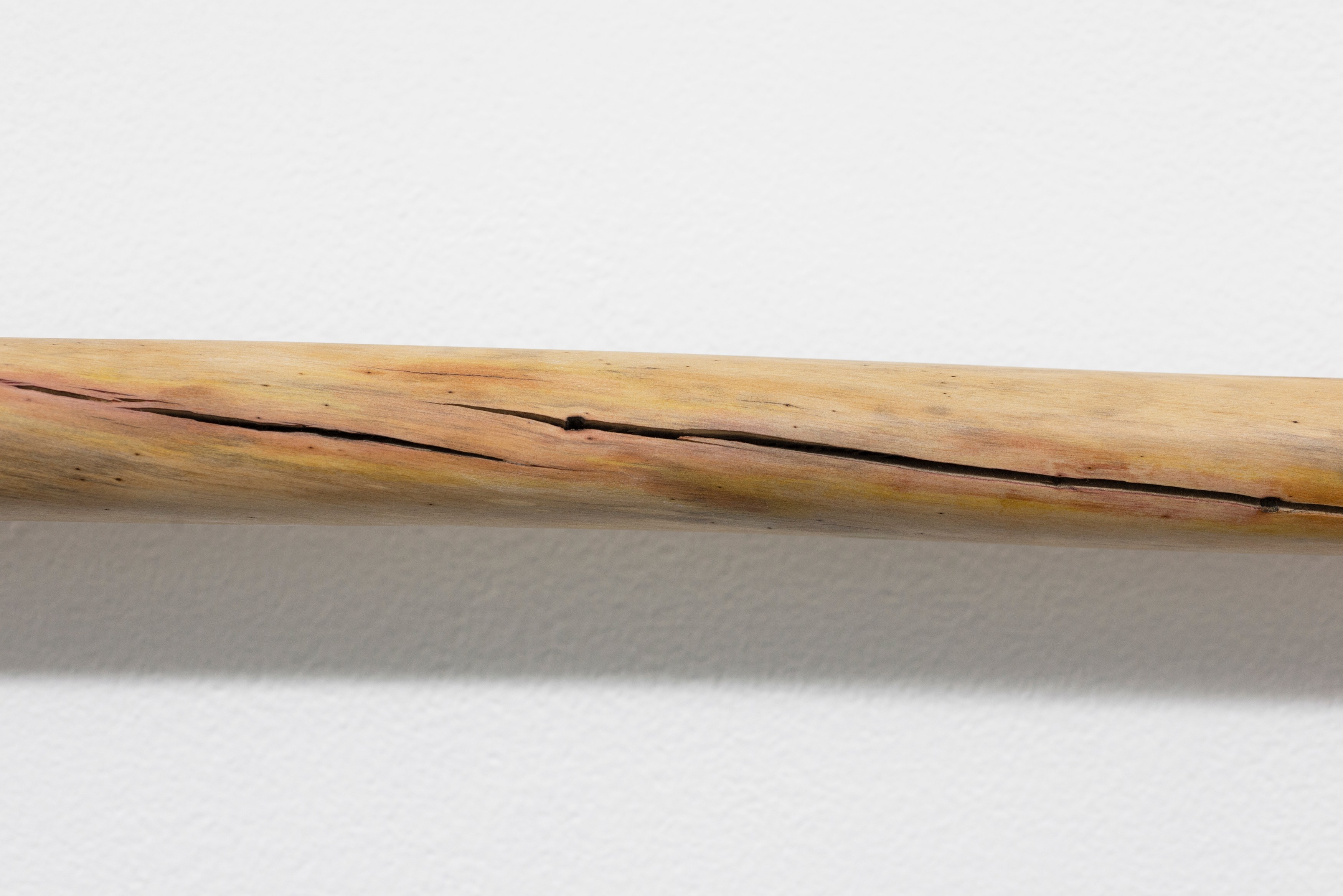 Naoki Sutter-Shudo, Don pur de la nature at Derosia, photo 20
