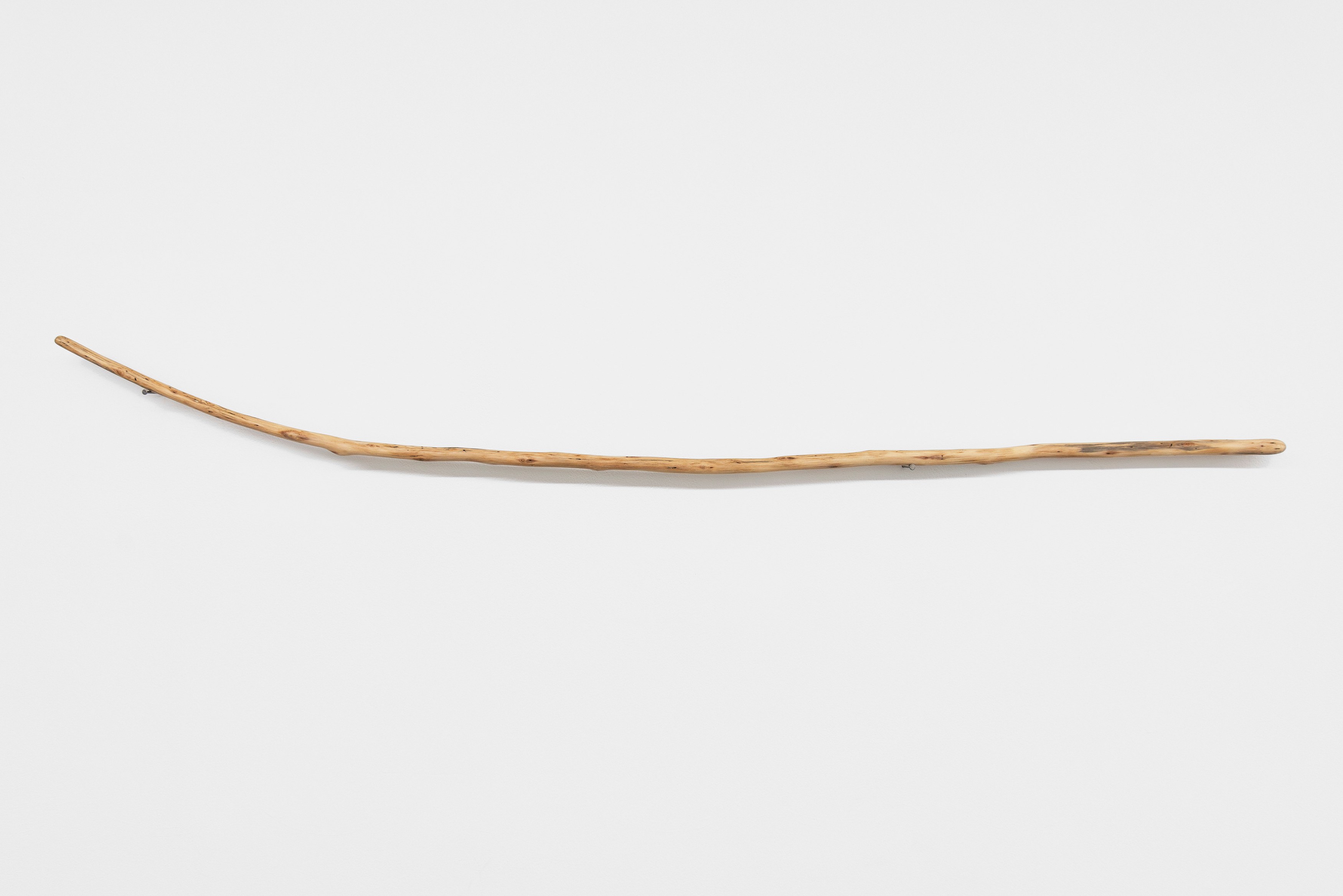 Naoki Sutter-Shudo, Don pur de la nature at Derosia, photo 22