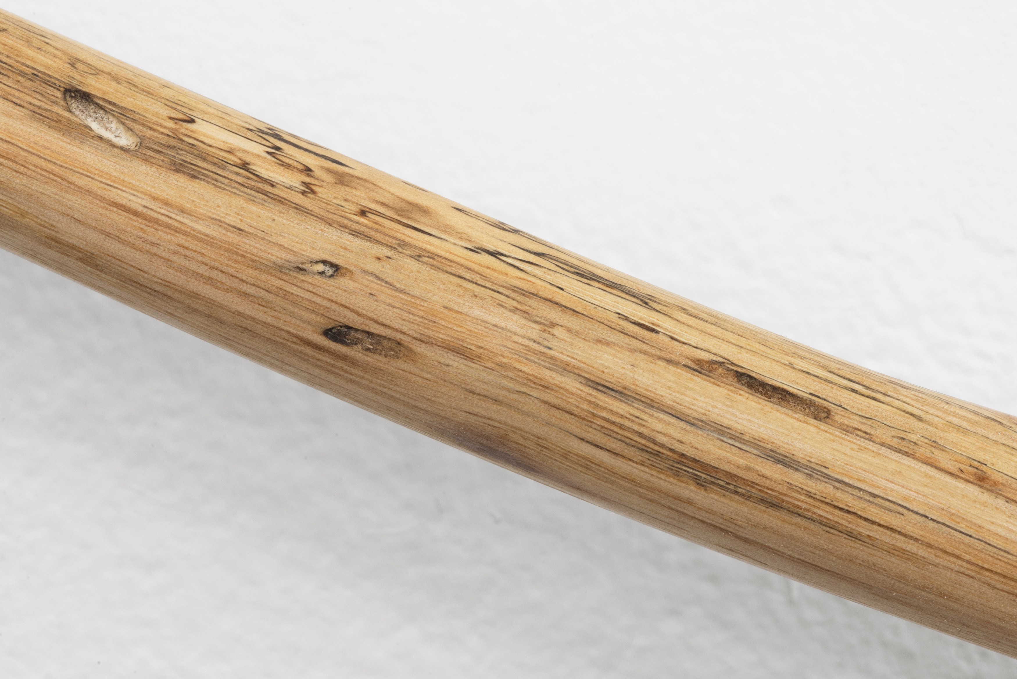 Naoki Sutter-Shudo, Don pur de la nature at Derosia, photo 23
