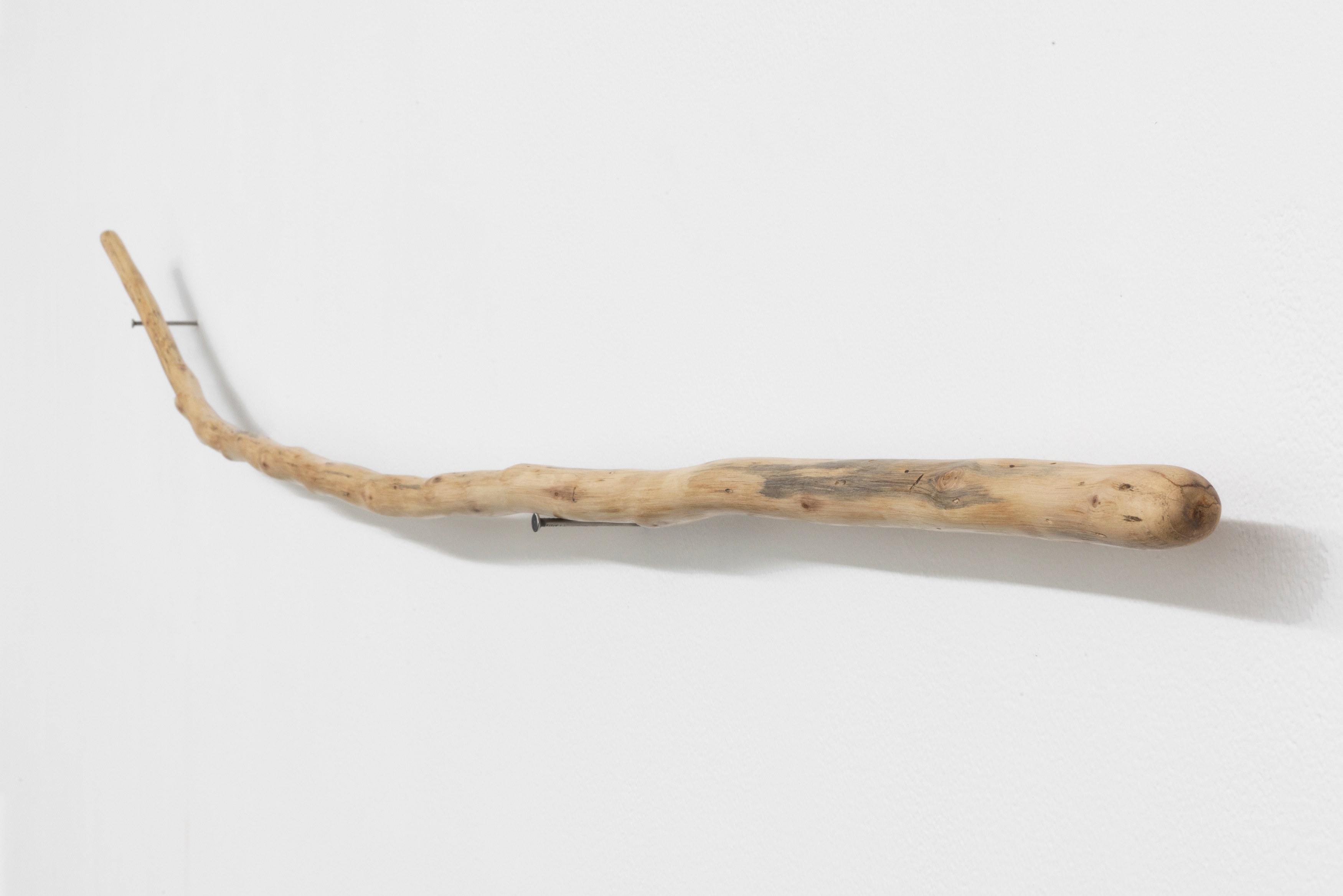 Naoki Sutter-Shudo, Don pur de la nature at Derosia, photo 25