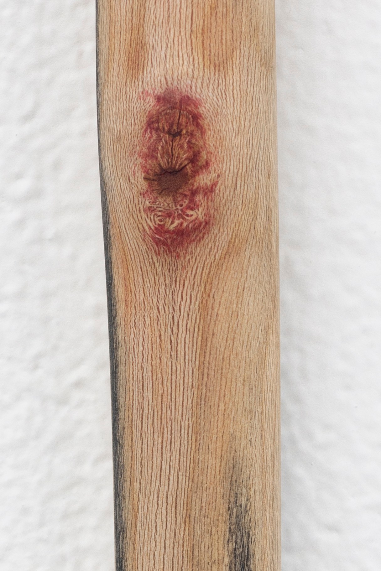 Naoki Sutter-Shudo, Don pur de la nature at Derosia, photo 28