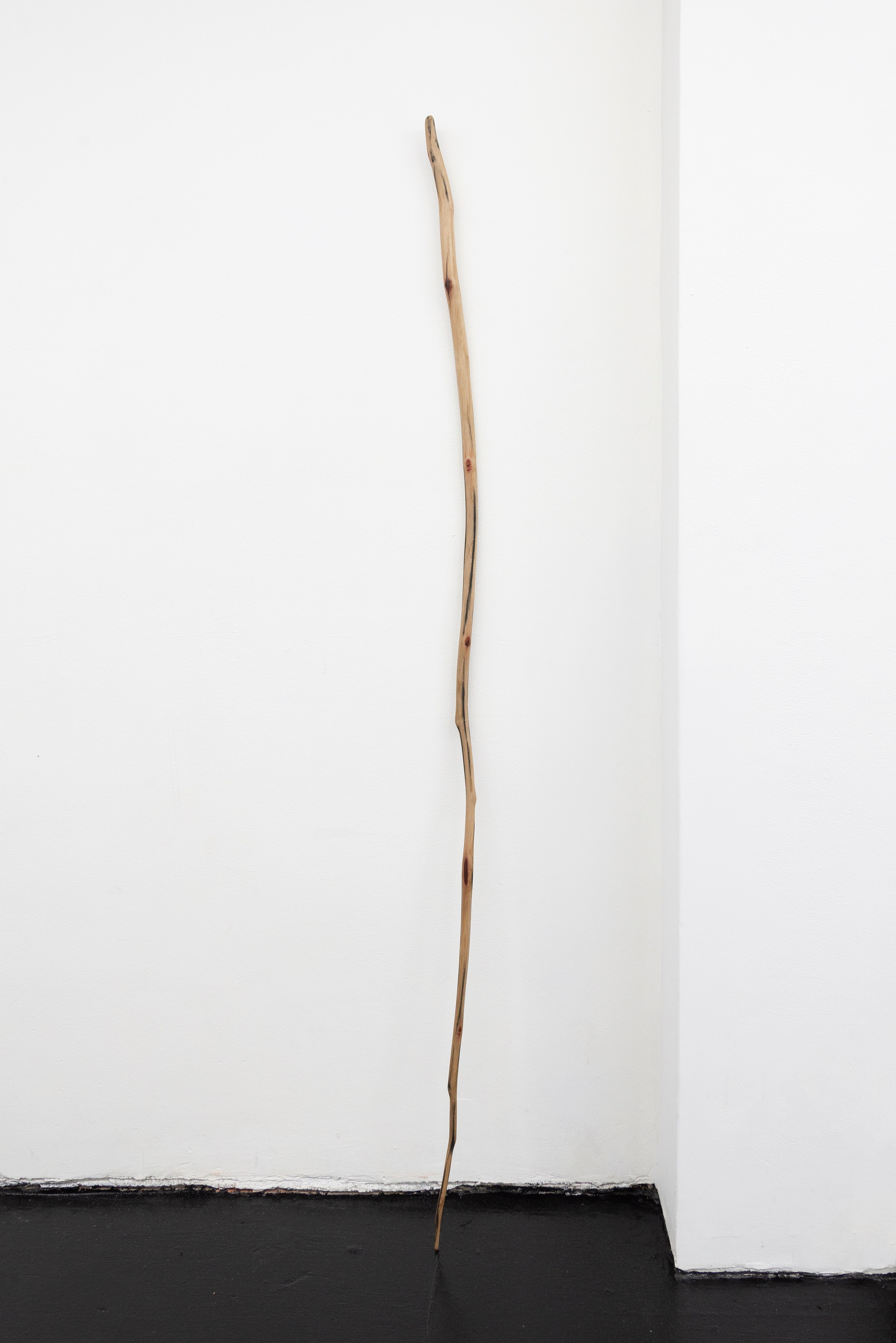 Naoki Sutter-Shudo, Don pur de la nature at Derosia, photo 26